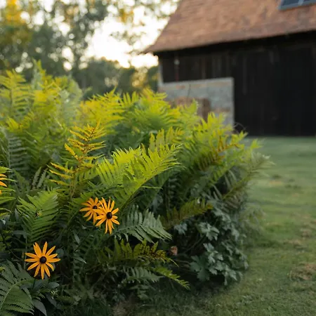 Nyaraló Gruene Farm - Ost Burg Kauper